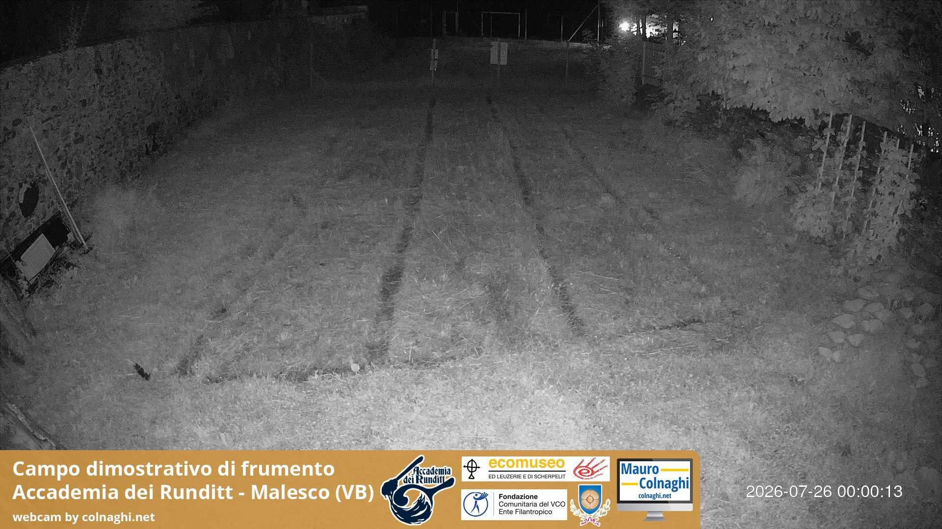 time-lapse frame, Grano webcam