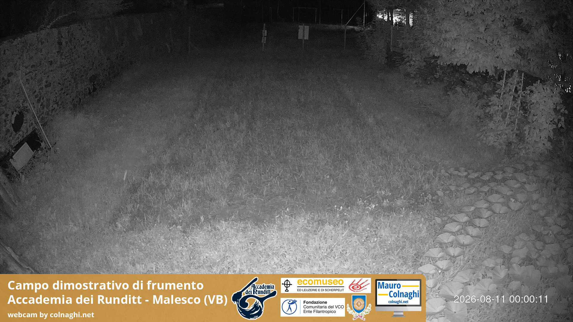 time-lapse frame, Grano webcam
