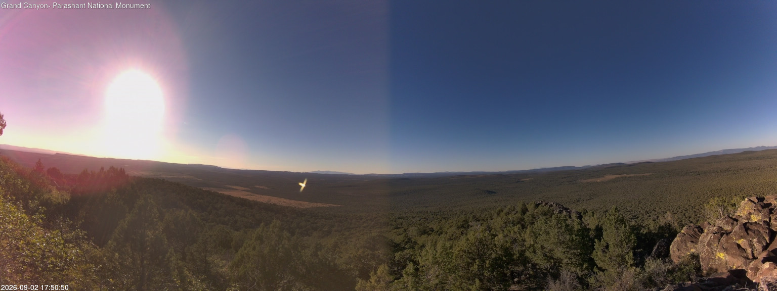 view from Mt Dellenbaugh - North Vista on 2026-09-02