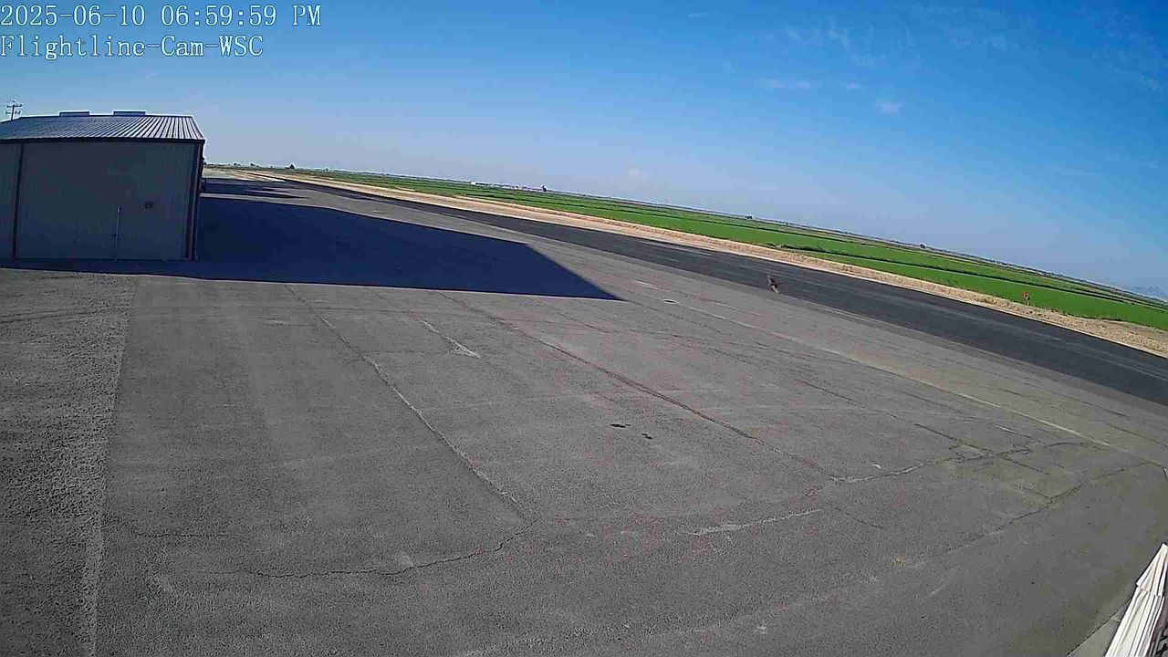Williams Soaring ... animated GIF