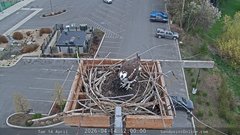 view from Sandpoint Online - Osprey Nest Time-lapse on 2026-04-14