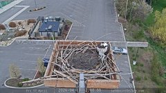 view from Sandpoint Online - Osprey Nest Time-lapse on 2026-04-17