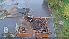 view from Sandpoint Online - Osprey Nest Time-lapse on 2026-04-22