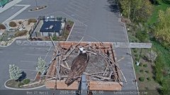 view from Sandpoint Online - Osprey Nest Time-lapse on 2026-04-27