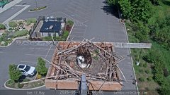 view from Sandpoint Online - Osprey Nest Time-lapse on 2026-05-17