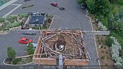 view from Sandpoint Online - Osprey Nest Time-lapse on 2026-06-06