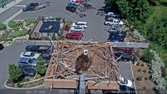 view from Sandpoint Online - Osprey Nest Time-lapse on 2026-06-13