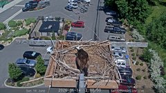 view from Sandpoint Online - Osprey Nest Time-lapse on 2026-06-14