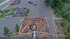 view from Sandpoint Online - Osprey Nest Time-lapse on 2026-06-26