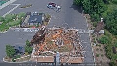 view from Sandpoint Online - Osprey Nest Time-lapse on 2026-07-16