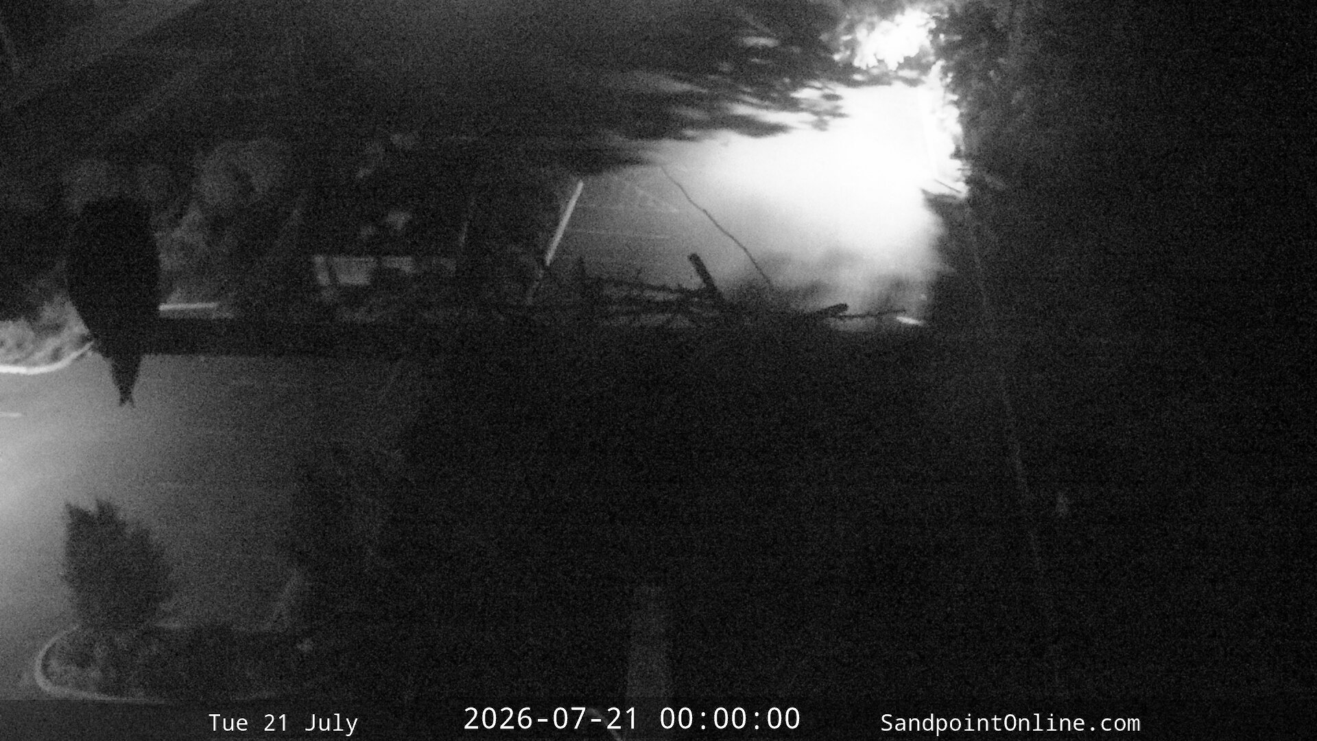 time-lapse frame, Sandpoint Online - Osprey Nest Time-lapse webcam