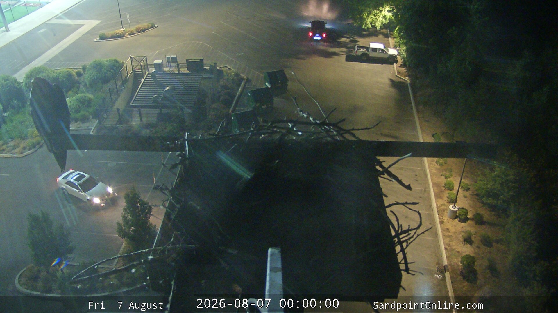 time-lapse frame, Sandpoint Online - Osprey Nest Time-lapse webcam
