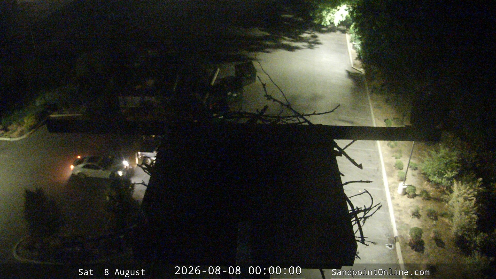 time-lapse frame, Sandpoint Online - Osprey Nest Time-lapse webcam