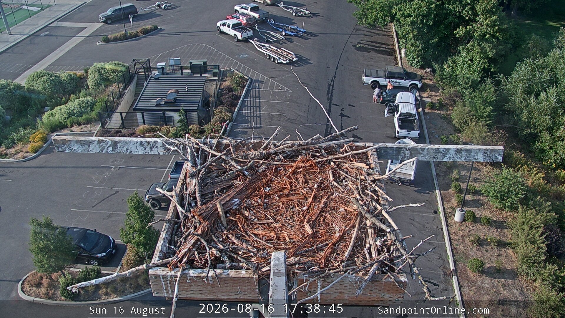 time-lapse frame, Sandpoint Online - Osprey Nest Time-lapse webcam