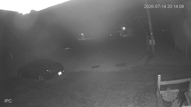 time-lapse frame, Thirsty Moose webcam