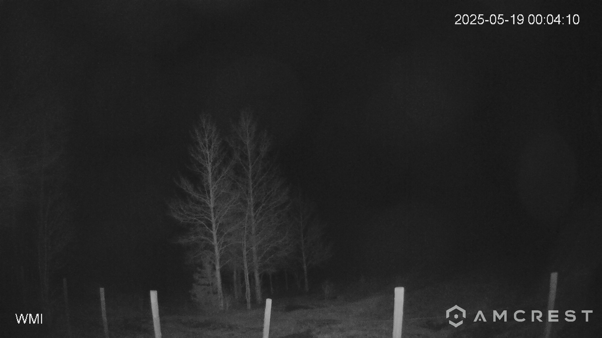 time-lapse frame, Never Summer Cam webcam