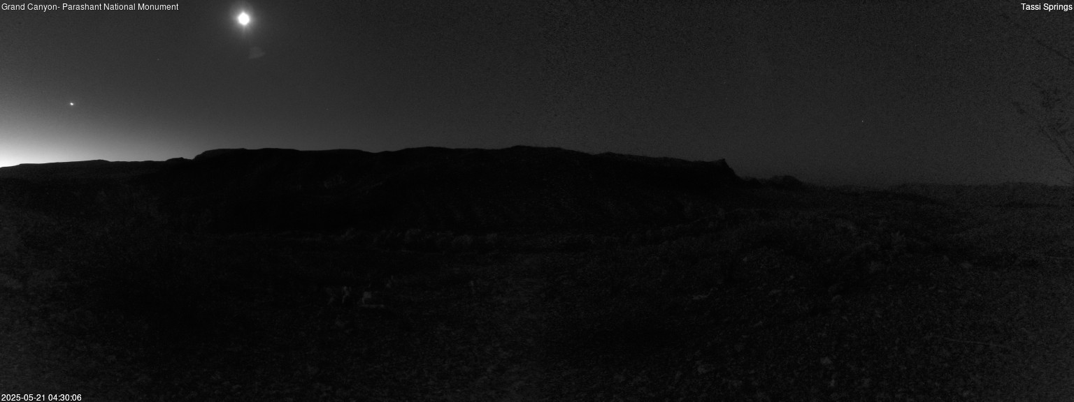 time-lapse frame, Tassi Springs webcam