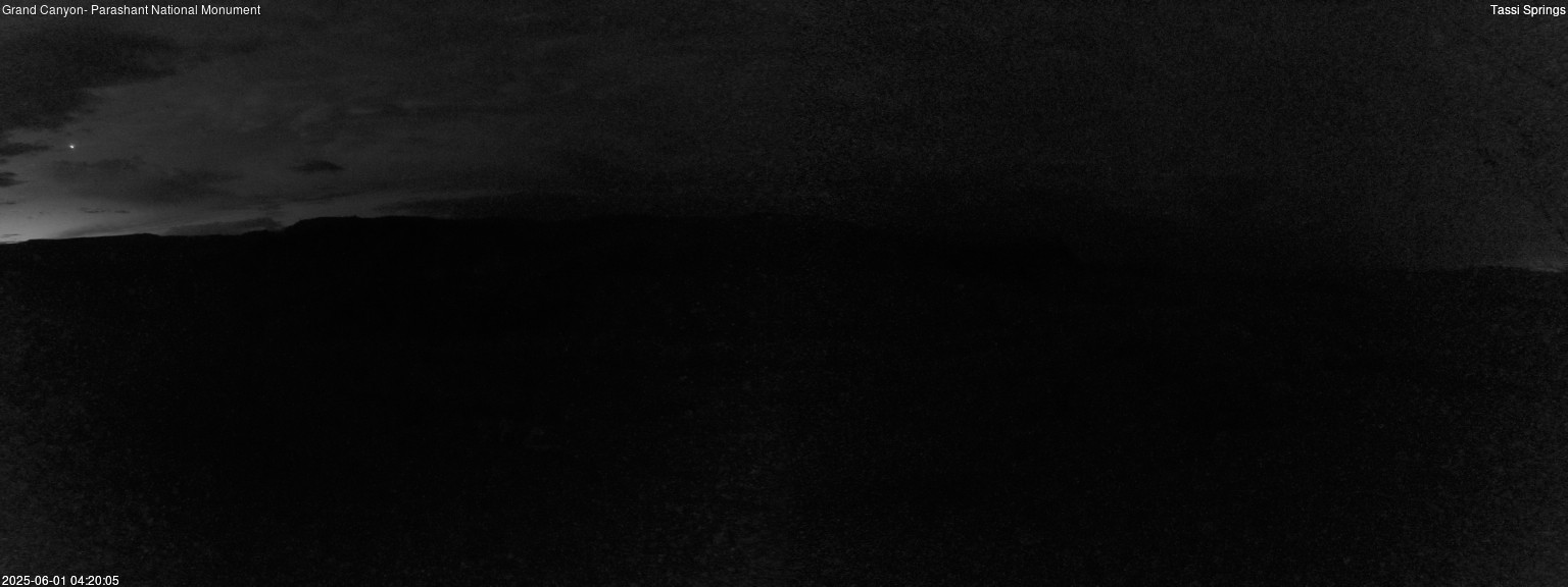time-lapse frame, Tassi Springs webcam