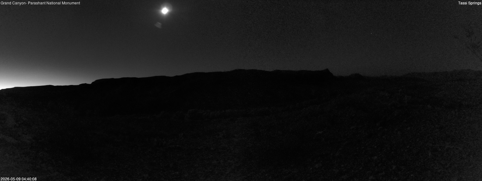 time-lapse frame, Tassi Springs webcam