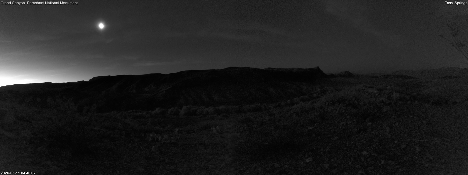 time-lapse frame, Tassi Springs webcam