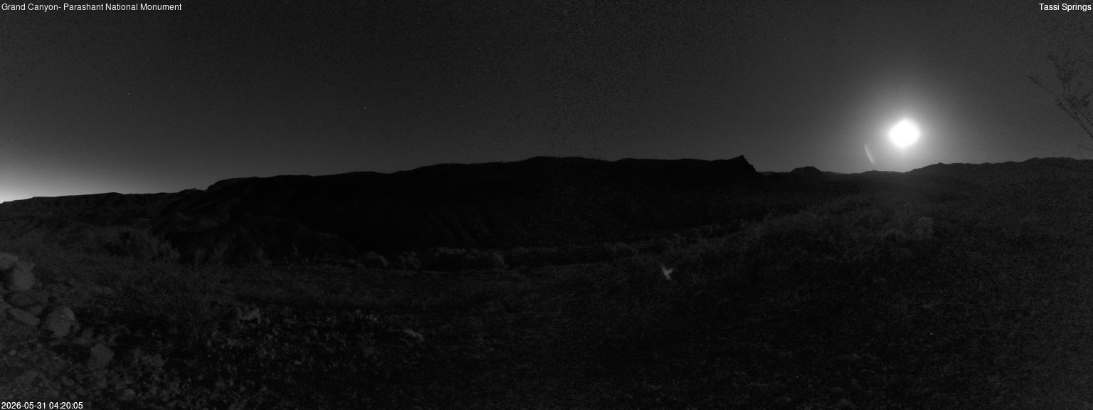 time-lapse frame, Tassi Springs webcam