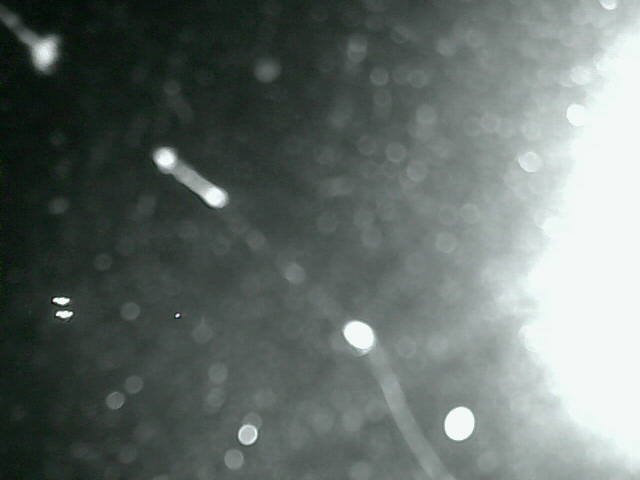 time-lapse frame, Cowes Yacht Club - North webcam