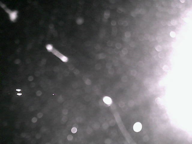 time-lapse frame, Cowes Yacht Club - North webcam