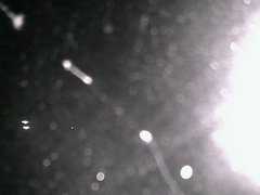 view from Cowes Yacht Club - North on 2026-04-20