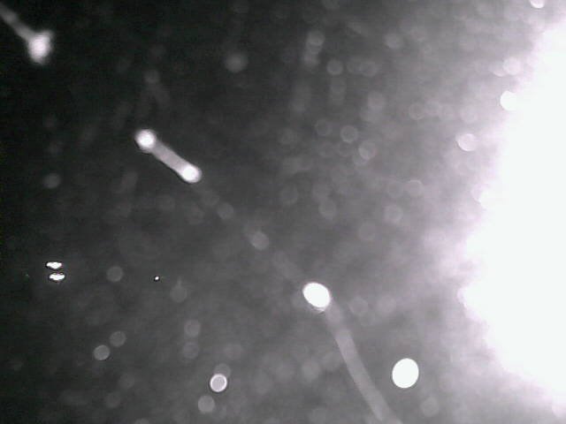 time-lapse frame, Cowes Yacht Club - North webcam