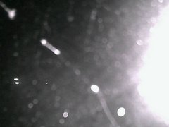 view from Cowes Yacht Club - North on 2026-04-21