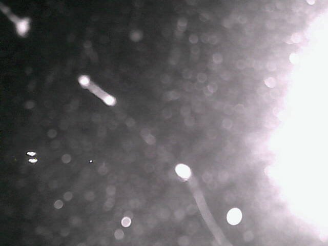 time-lapse frame, Cowes Yacht Club - North webcam