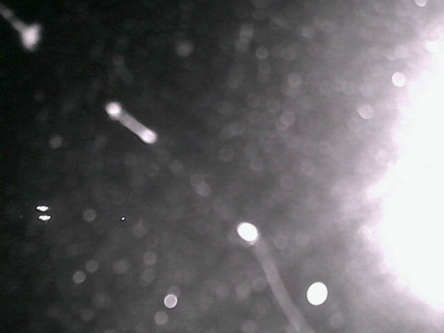 time-lapse frame, Cowes Yacht Club - North webcam