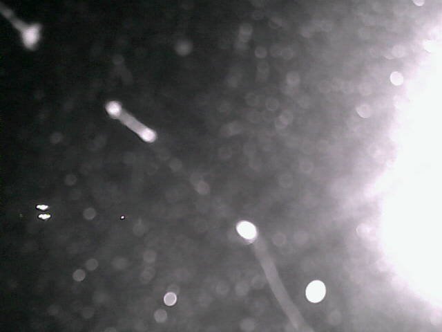 time-lapse frame, Cowes Yacht Club - North webcam