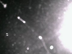 view from Cowes Yacht Club - North on 2026-04-24