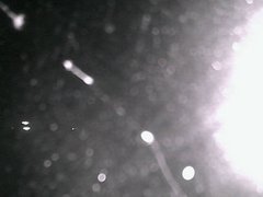 view from Cowes Yacht Club - North on 2026-04-24