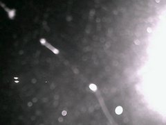 view from Cowes Yacht Club - North on 2026-04-25