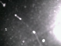 view from Cowes Yacht Club - North on 2026-04-26