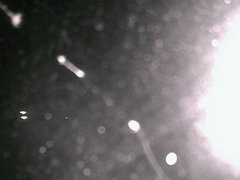 view from Cowes Yacht Club - North on 2026-04-29