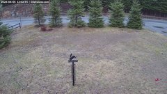 view from InletSnow.com on 2026-04-05