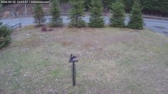 view from InletSnow.com on 2026-04-15