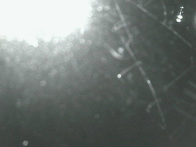 time-lapse frame, Cowes Yacht Club - West webcam