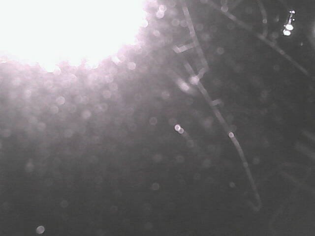 time-lapse frame, Cowes Yacht Club - West webcam
