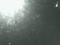 view from Cowes Yacht Club - West on 2026-04-26