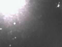 view from Cowes Yacht Club - West on 2026-07-23