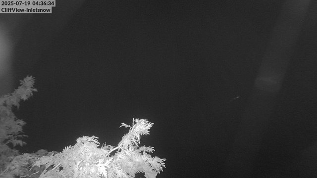 time-lapse frame, 4th Lake, Inlet, NY webcam
