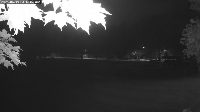 time-lapse frame, Arrowhead Park webcam