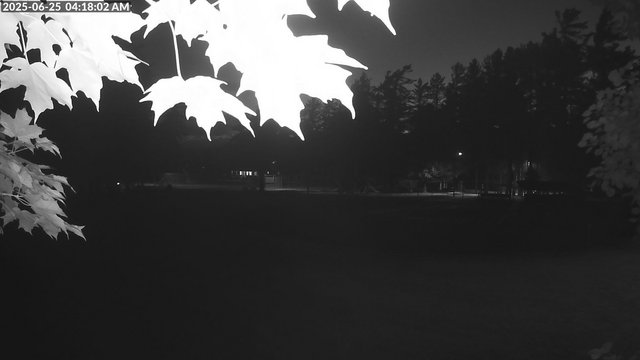 time-lapse frame, Arrowhead Park webcam