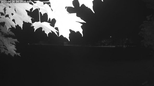 time-lapse frame, Arrowhead Park webcam