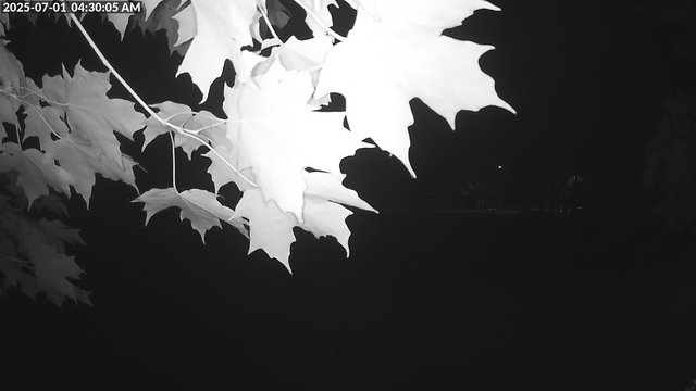 Arrowhead Park animated GIF