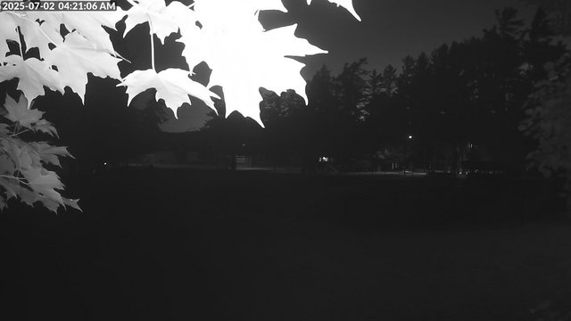 time-lapse frame, Arrowhead Park webcam